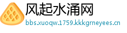 风起水涌网